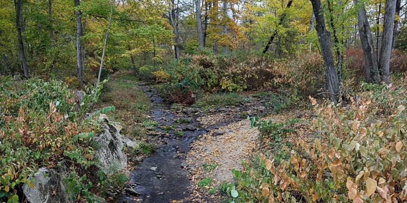 Harold G. Fulmer Nature Preserve